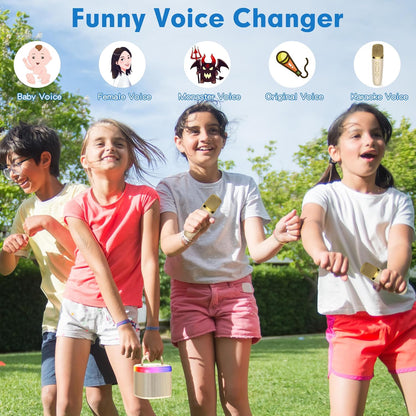 Mini Karaoke Machine: Portable Bluetooth Speaker with Wireless Microphones and Party Lights